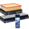 Filterset mit 400ml Klimaanlagenreiniger Audi A4 (8D, B5) VW Passat (3B)