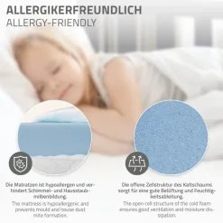Kinderbett Hausbett 70x140 cm Hellgrau aus Kiefernholz inkl. Matratze H-10cm Rausfallschutz Dach und Lattenrost ML-Design