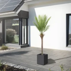 Künstliche Palme 180 cm Tropische Kunstpalme im Topf ML-Design