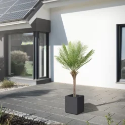 Künstliche Palme 150 cm Tropische Kunstpalme im Topf ML-Design
