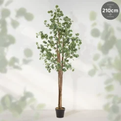 Künstlicher Eukalyptusbaum 210 cm Kunstpflanze mit Naturholzstamm ML-Design