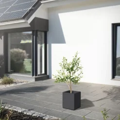 Künstlicher Olivenbaum 120 cm Kunstpflanze mit Naturholzstamm und Früchten ML-Design
