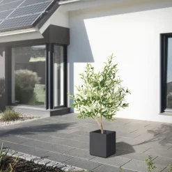 Künstlicher Olivenbaum 150 cm Kunstpflanze mit Naturholzstamm und Früchten ML-Design