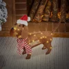 LED Dackel mit Mütze und Schal, 60x43 cm, batteriebetrieben, LED Weihnachtsdekoration, IP44 für Innen und Außen