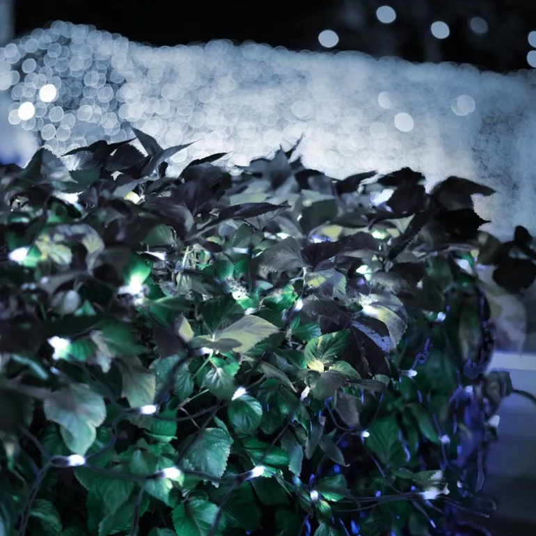 LED Lichternetz 200 cm mit 160 LEDs Kaltweiß IP44
