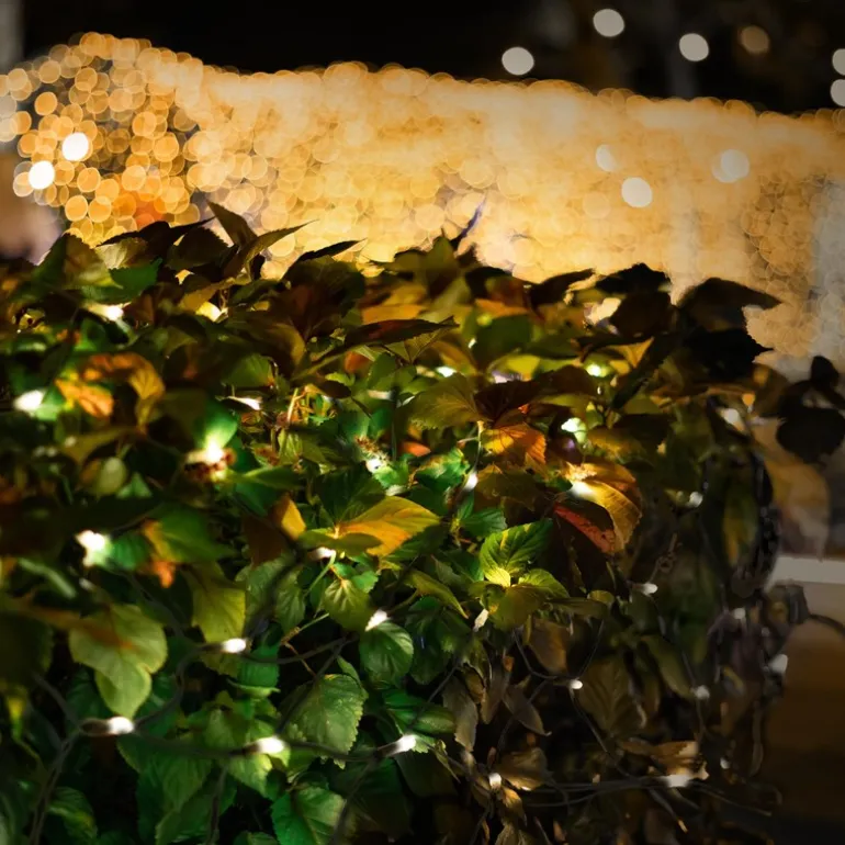 LED Lichternetz 100x200 cm mit 160 LEDs Warmweiß IP44